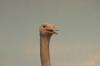 <img100*0:stuff/aj/169023/1281725620.jpg>