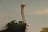 <img100*0:stuff/aj/169023/1281725637.jpg>