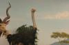 <img100*0:stuff/aj/169023/1281725651.jpg>
