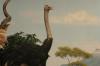<img100*0:stuff/aj/169023/1281725672.jpg>