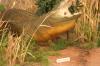<img100*0:stuff/aj/169023/1281725845.jpg>