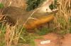 <img100*0:stuff/aj/169023/1281725867.jpg>