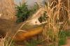 <img100*0:stuff/aj/169023/1281725888.jpg>