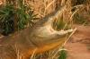 <img100*0:stuff/aj/169023/1281725925.jpg>