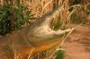 <img100*0:stuff/aj/169023/1281725952.jpg>