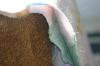 <img100*0:stuff/aj/169023/1283879588.jpg>