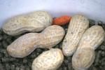 <img0*100:stuff/aj/169023/1283879940.jpg>