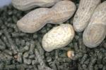 <img0*100:stuff/aj/169023/1283879971.jpg>