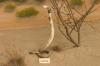 <img100*0:stuff/aj/169023/1283886522.jpg>