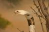 <img100*0:stuff/aj/169023/1283886535.jpg>