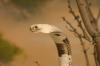 <img100*0:stuff/aj/169023/1283886552.jpg>