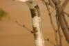 <img100*0:stuff/aj/169023/1283886568.jpg>