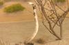 <img100*0:stuff/aj/169023/1283886593.jpg>