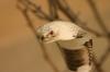 <img100*0:stuff/aj/169023/1283886634.jpg>
