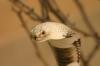 <img100*0:stuff/aj/169023/1283886661.jpg>