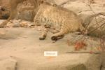 <img0*100:stuff/aj/169023/1284311025.jpg>