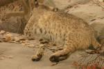 <img0*100:stuff/aj/169023/1284311058.jpg>