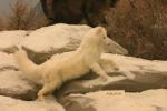 <img0*100:stuff/aj/169023/1284312196.jpg>
