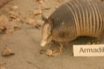 <img0*100:stuff/aj/169023/1284312420.jpg>