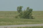 <img0*100:stuff/aj/169023/1284313108.jpg>