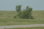 <img0*100:stuff/aj/169023/1284313129.jpg>