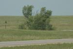 <img0*100:stuff/aj/169023/1284313152.jpg>