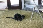 <img0*100:stuff/aj/169023/1285699938.jpg>