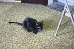 <img0*100:stuff/aj/169023/1285699977.jpg>
