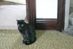 <img0*100:stuff/aj/169023/1285700033.jpg>