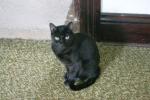 <img0*100:stuff/aj/169023/1285700081.jpg>