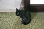 <img0*100:stuff/aj/169023/1285700108.jpg>