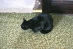 <img0*100:stuff/aj/169023/1285700137.jpg>