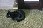 <img0*100:stuff/aj/169023/1285700158.jpg>