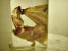 <img100*0:stuff/aj/169023/1311006138.jpg>