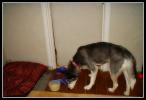 <img0*100:stuff/aj/169023/1317389808.jpg>