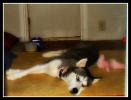 <img0*100:stuff/aj/169023/1317406340.jpg>