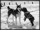 <img0*100:stuff/aj/169023/1327252324.jpg>