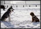 <img0*100:stuff/aj/169023/1327252365.jpg>