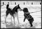 <img0*100:stuff/aj/169023/1327252392.jpg>