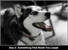 <img0*175:stuff/aj/169023/1328388215.jpg>