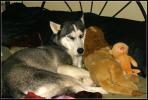 <img0*100:stuff/aj/169023/1363815277.jpg>