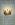 <img0*25:stuff/aj/169023/2.4.jpg>