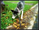 <img0*100:stuff/aj/169023/2.jpg>