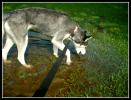 <img0*100:stuff/aj/169023/3.1.jpg>