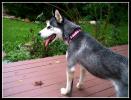 <img0*100:stuff/aj/169023/5.jpg>