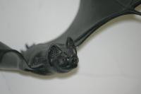 <img200*0:stuff/aj/169023/A%20Batty%20Bat.jpg>