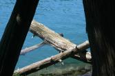 <img167*0:stuff/aj/169023/At%20Green%20Lakes.jpg>