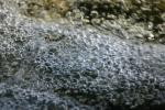 <img150*0:stuff/aj/169023/Bubbles%21.jpg>