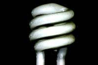 <img200*0:stuff/aj/169023/Bulb.jpg>