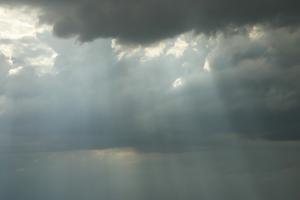 <img300*0:stuff/aj/169023/Comfort%20Shined%20Down.jpg>